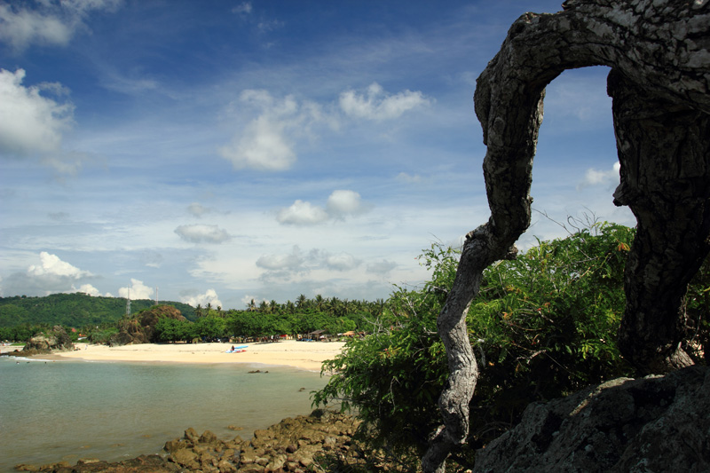 Pantai Kuta dibalik pohon asam